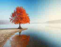 protect 药‌物‍